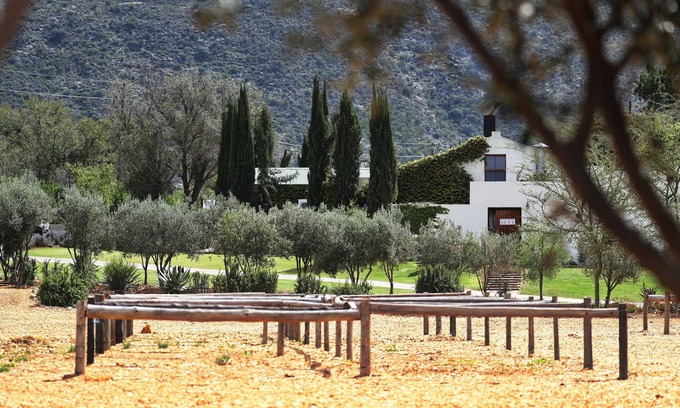 Schoemanshoek House | Berluda Farmhouse & Cottages