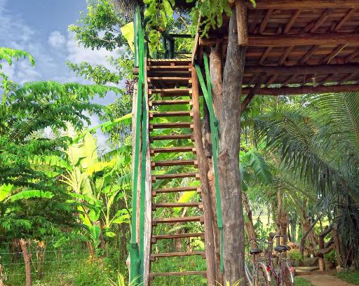 Yodakandiya Cabin | Best Lake View tree house