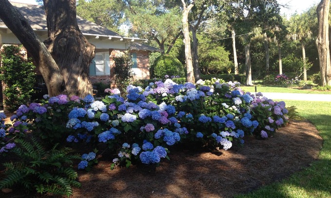 Sea Island House | BEST LOCATION ON SEA ISLAND-ONLY 2 BLOCKS to CLOISTER HOTEL & BEACH CLUB