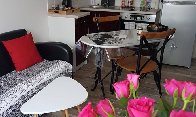 Pessac House | BETWEEN BORDEAUX AND ARCACHON. charming gite LE PETIT PRINCE PESSAC.3 *