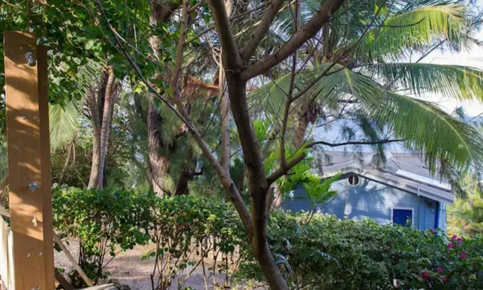 Springfield Apartment | "Beyond" a paradise in Barbados