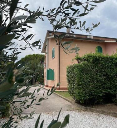 Rosignano Marittimo Apartment | Biancolilla House
