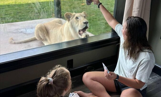 Town of Sullivan House | Big Cat Bungalows at The Haven - Lion 2