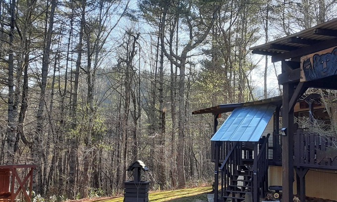 Rabun Gap Cabin | BILLY BEAR -3 BED 2 BATH wifi 3 roku tv,s dvd players sleeps 4