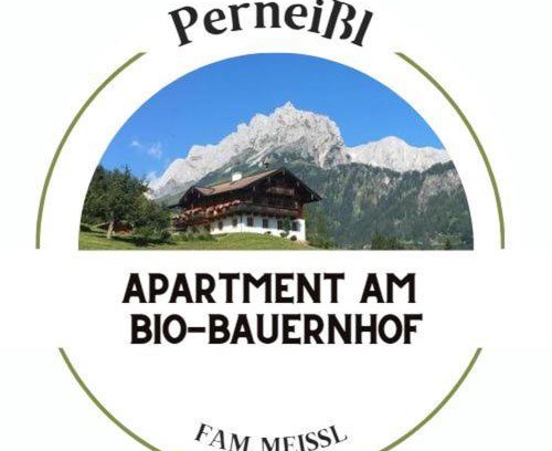 Bischofshofen Apartment | Bio Bauernhof Perneißl Apartment
