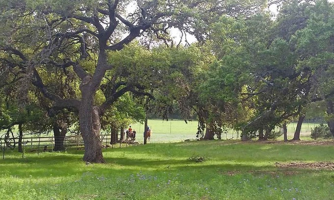 Boerne Cabin | BirdHouse Suite @ HomeAway Ranch