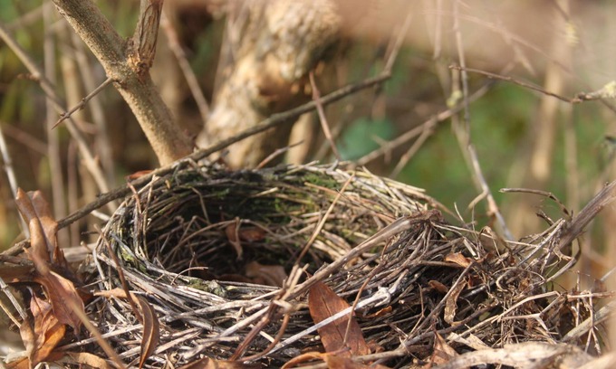 Ceccano Apartment | Birds House - apartment with private garden