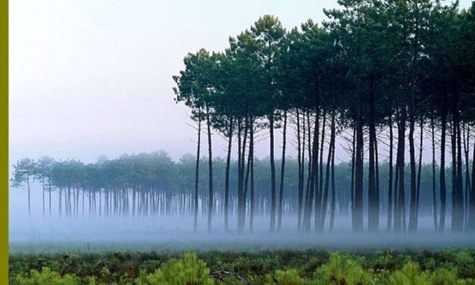 Biscarrosse Plage Condo | Biscarrosse and its 3 poles: Beach, City and Lakes