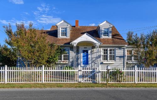 Chincoteague House | Black Skimmer