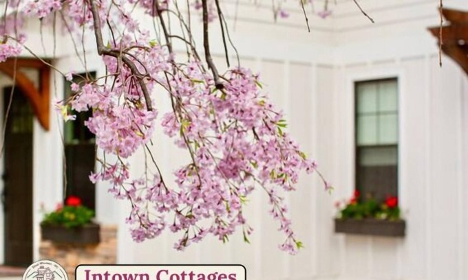 Black Mountain House | Blue Ridge Getaway & Spa ~ King | Sauna | Walkable