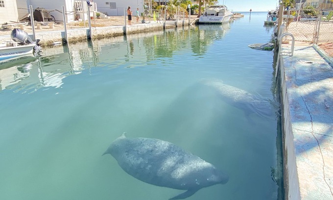 Geiger Key Cottage | Boater's Delight 10 Miles from Key West!