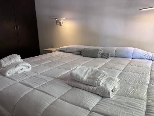 San Carlos de Bolivar Apartment | Bolivar Centro