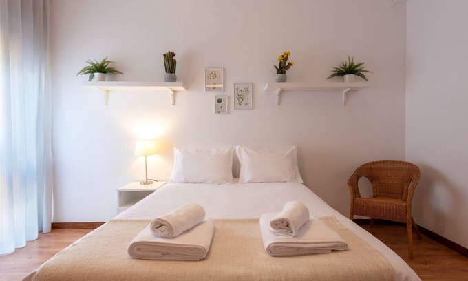 Cedofeita Apartment | Botanic Jungle at Porto Downtown