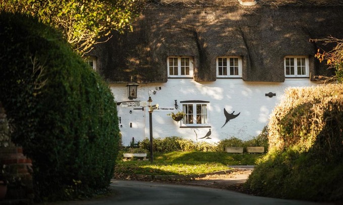 Plush Hotel | Brace of Pheasants