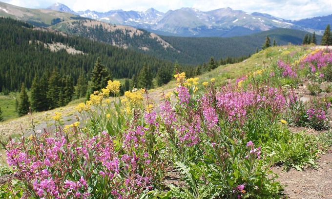 The Highlands Ski Chalet | Breckenridge Mountain Chalet, Easy access to Ski Areas, hiking, biking and more!