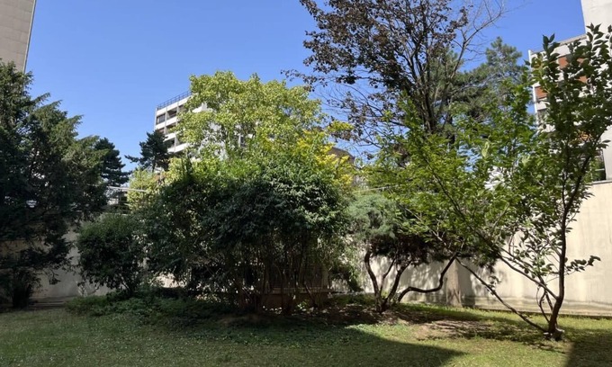 Saint-Fargeau Apartment | Bright nest with a peaceful view on a garden