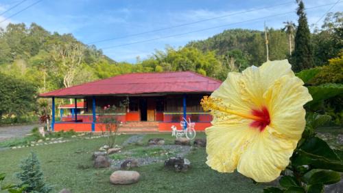Salento House | BRISAS DEL RIO SALENTO