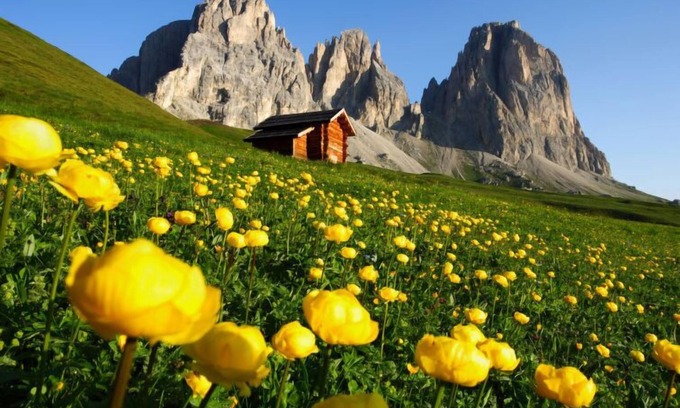 Soraga Apartment | Brunel (SOF772) by Interhome