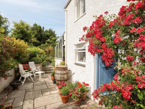 Beaumaris House | Bryn Tegid