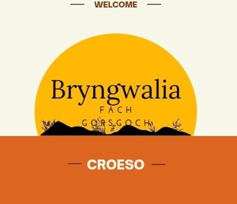 Llanybydder Apartment | Bryngwalia Fach