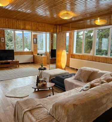 Sinaia Villa | BSG Villa - Sinaia