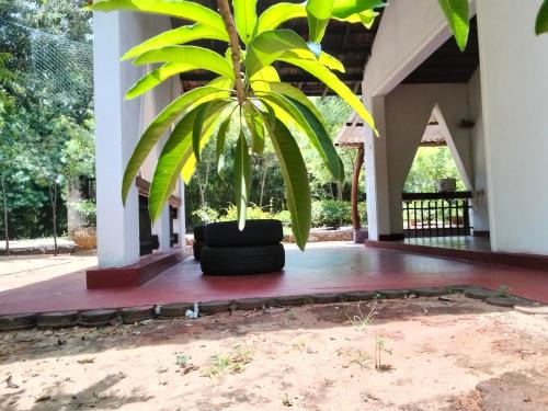 Yodakandiya Apartment | Bundala Resort