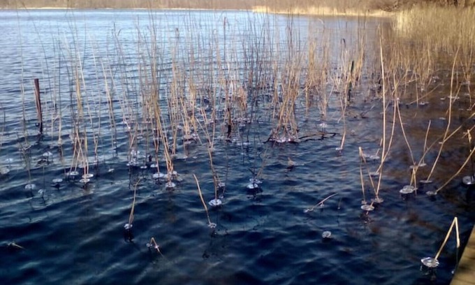 Munchehofe House | Bungalow by a bathing lake in the Märkische Schweiz Nature Park - an hour's drive from Berlin