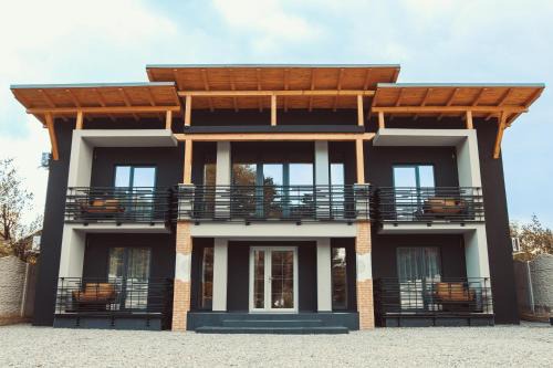 Hunedoara House | Butterfly