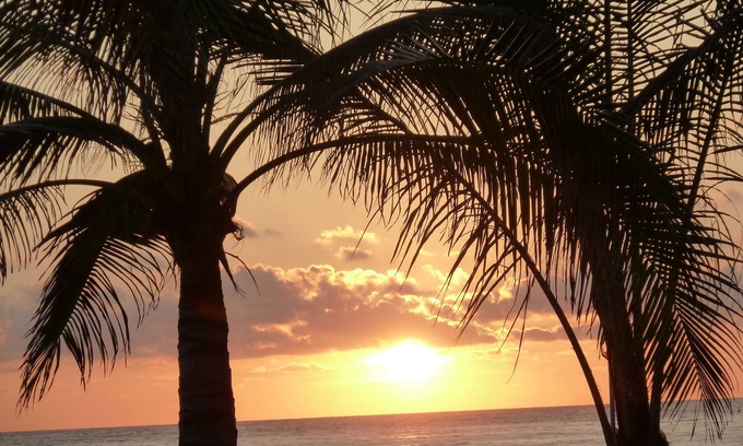 Ixtapa Condo | Bvg Marina Luxury Condo Ocean View - a Sight to Be Seen
