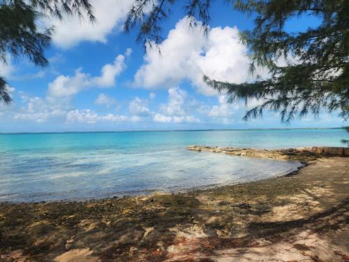 Rock Sound Apartment | By the Bay - Brand New Apartment, Steps to the Sea, Walk to Town apts