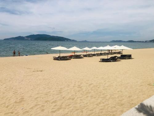 Tran Phu Beach Apartment | Căn hộ Gold Coast ở Nha Trang view biển - Vivastay