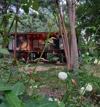 Tigre House | Cabaña Caña Seca