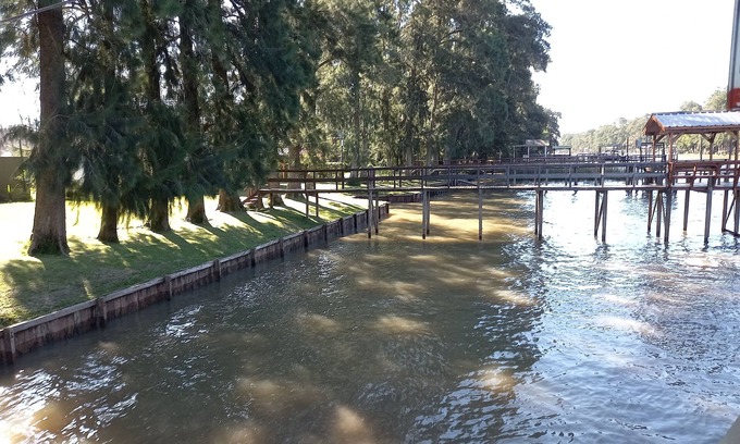 Partido de Tigre Cabin | Cabaña del humedal