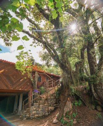 Pinal de Amoles Ski Chalet | cabañas cruz verde