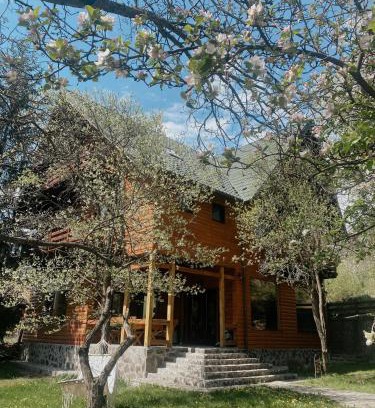 Deda House | Cabana Bistra