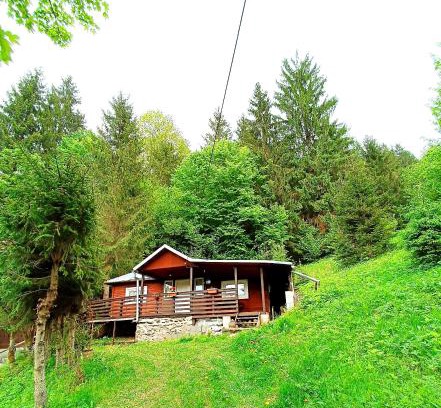 Lunca Bradului Ski Chalet | Cabana din padure