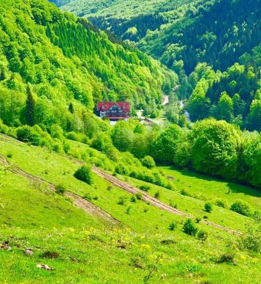 Tesila House | Cabana Izvoarele Doftanei