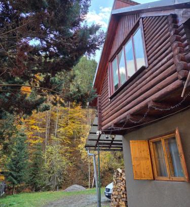 Baisoara House | Cabana Montis River