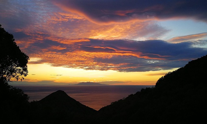 San-Martino-di-Lota Cabin | Cabin deluxe in the trees somptuous sea view in Corsica for couples in love