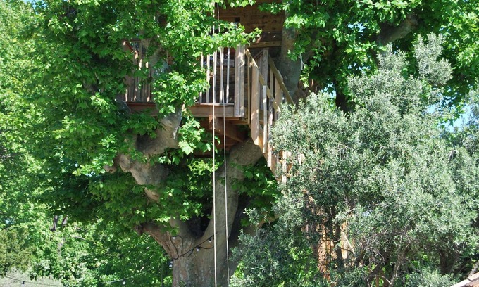 Salon-de-Provence Cabin | Cabin in the plane tree, swimming pool, trampoline