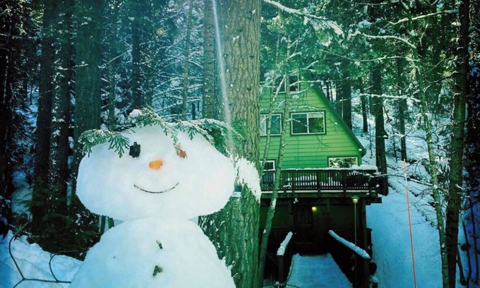 Camp Connell Cabin | Cabin on the Creek: Dog Friendly