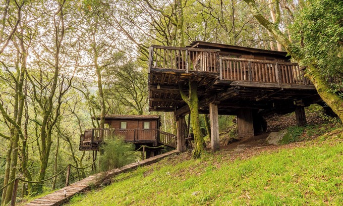 Puebla del Caraminal Cabin | CABINS in the trees.