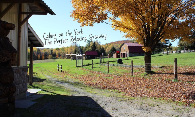 Hastings Highlands Cabin | Cabins on the York - Cabin #2 - Deer Cabin