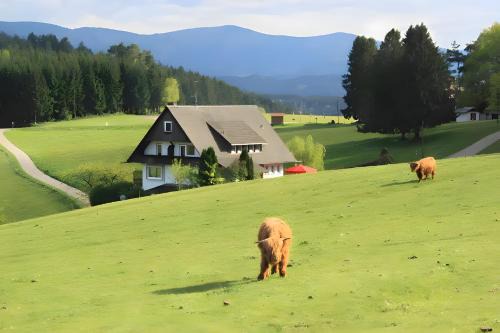 Muehlenbach House | Café Pension Pfaus 1 fewo-4 Zimmer