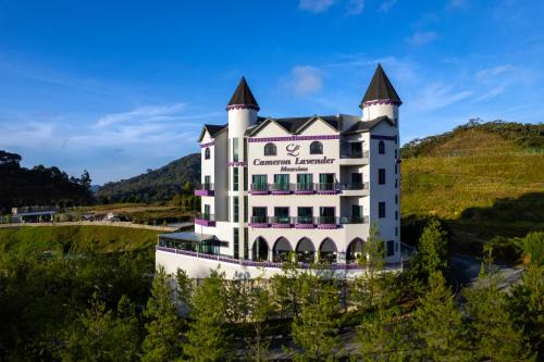Tanah Rata Hotel | Cameron Lavender Mansion by PLAY