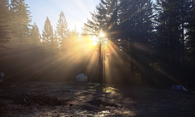 Fortuna RV Rental | Camp in private Redwoods, no fires