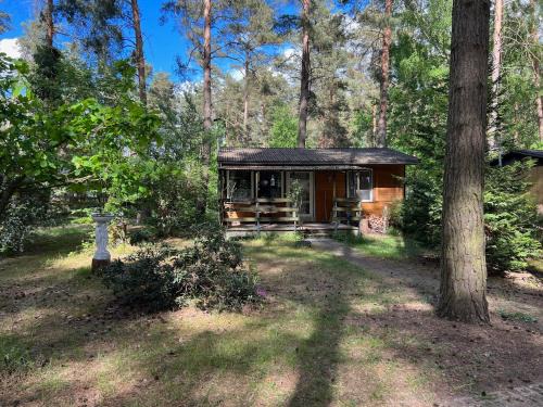 Bad Schmiedeberg House | Camp Koose