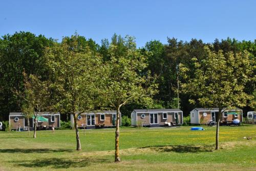 Hoogersmilde Other | Camping de Reeënwissel