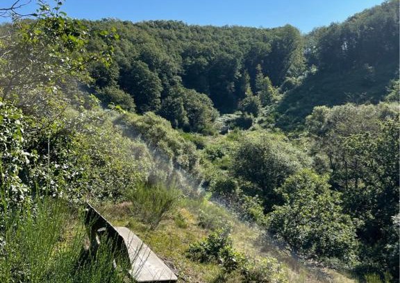 Utscheid Other | Camping Drei Spatzen