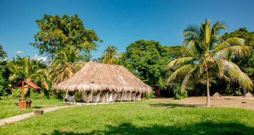 Santa Marta Other | Camping Tequendama - Parque Tayrona
